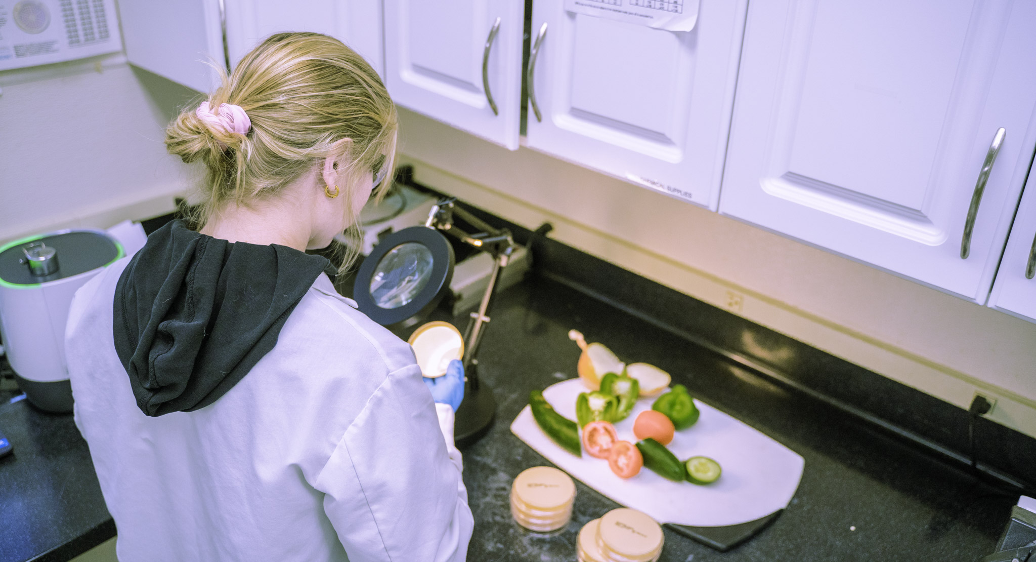Lab technician examining a plate for validated test methods at HPC Foods Laboratory