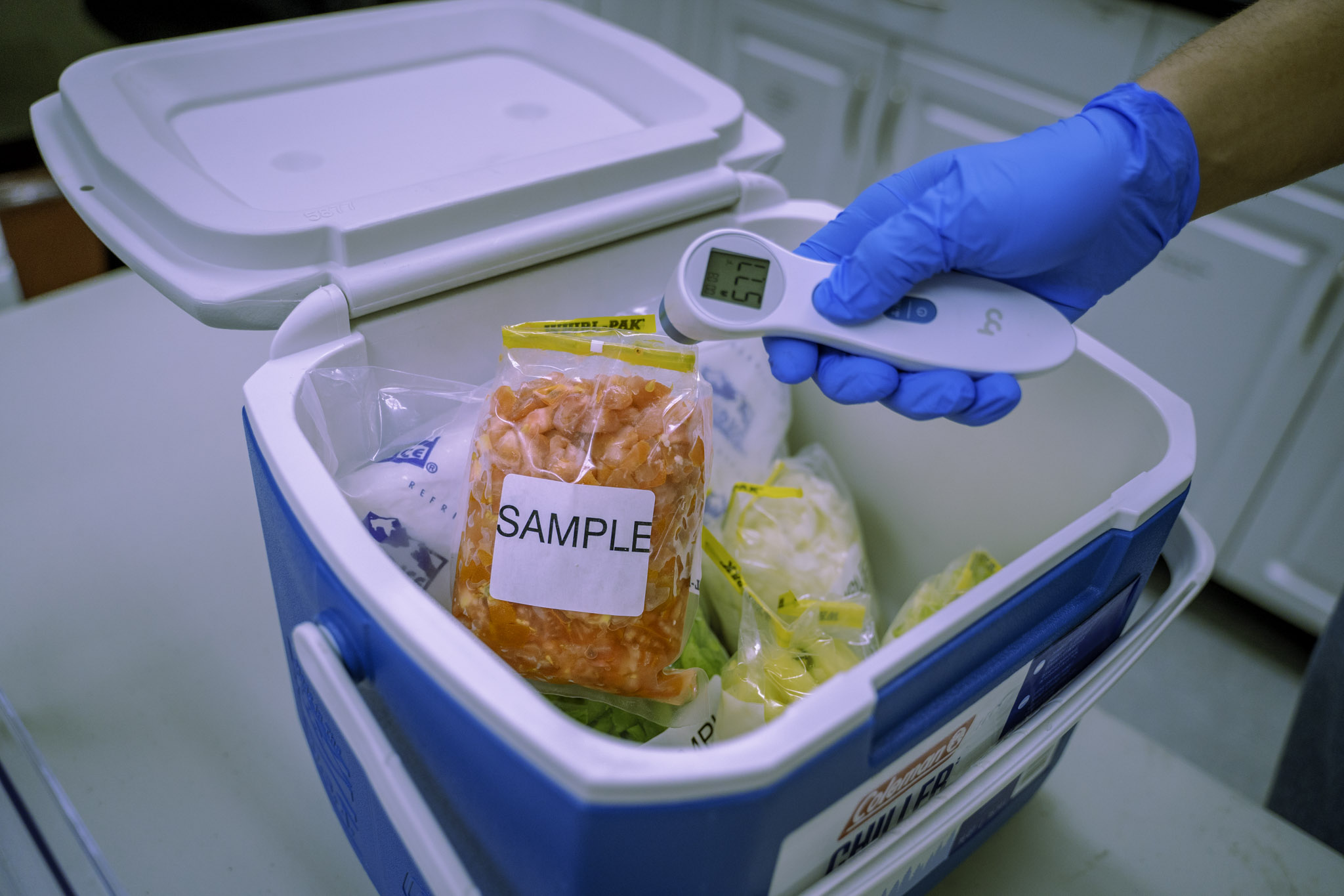 Lab technician checking temperature of food samples in a cooler upon receipt at HPC Foods Laboratory